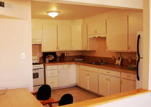 Guru Nanak Nivas - kitchen