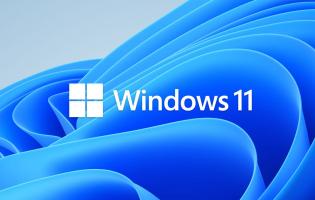 Windows 11 blue wave logo